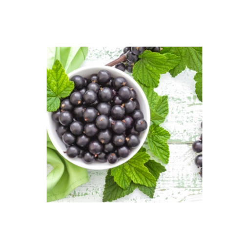 Black Currant
