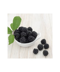 Boysenberry