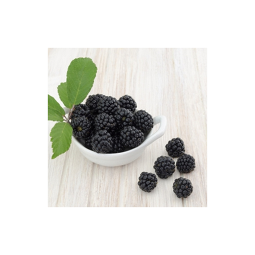 Boysenberry
