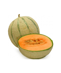 Cantaloupe