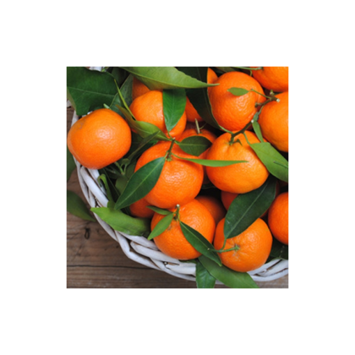 Orange mandarin