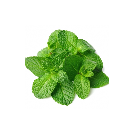 Spearmint