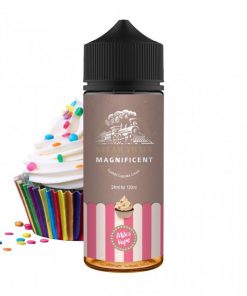 Steam Train Magnificent 24/120ml