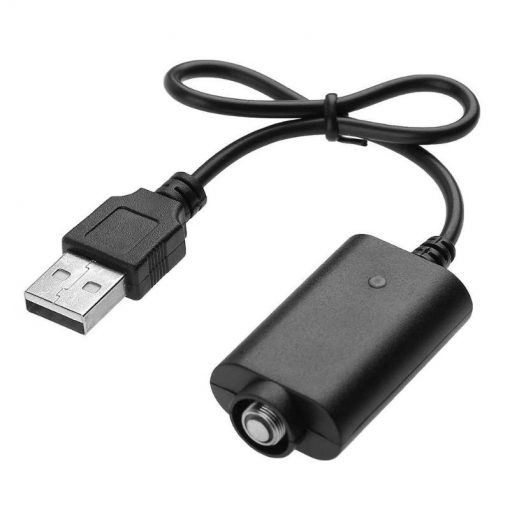 EGO USB Charger